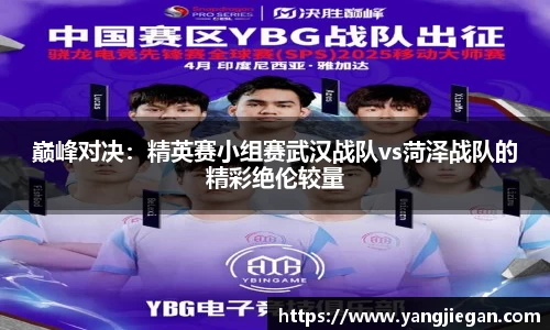 巅峰对决：精英赛小组赛武汉战队vs菏泽战队的精彩绝伦较量