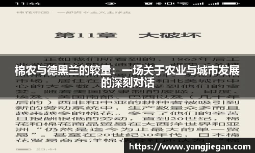 棉农与德黑兰的较量：一场关于农业与城市发展的深刻对话